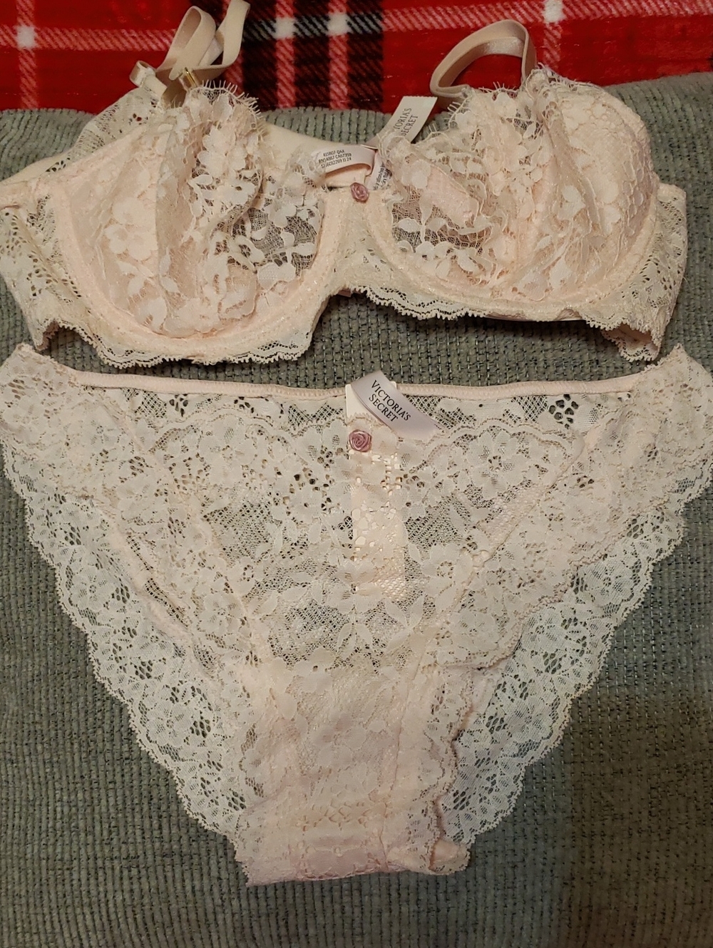 Victoria's Secret Dream Angels Pale Blush Lace Bra 36B and Bikini Panty M NWT